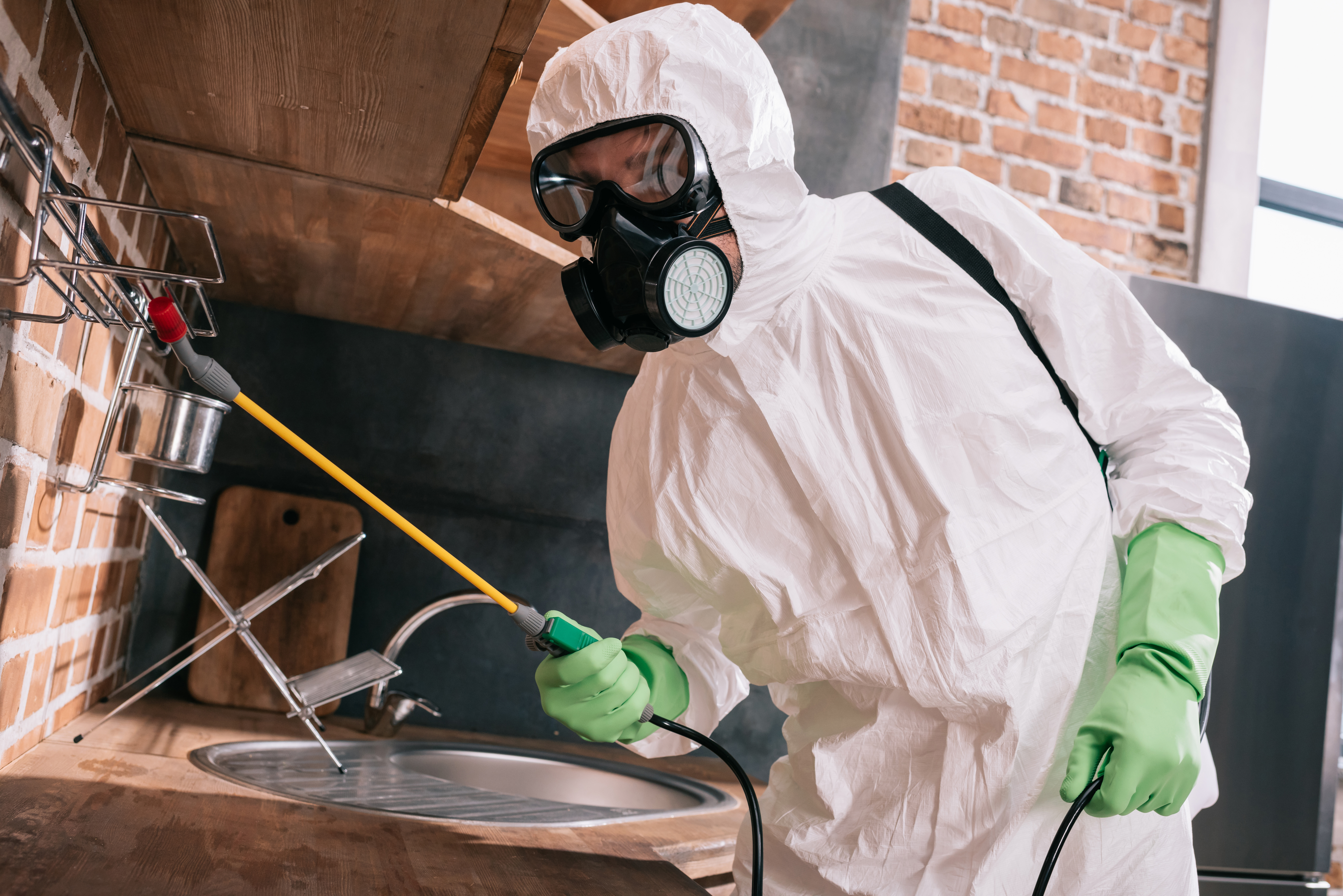 HomezGuard technician working inside a commercial kitchen.